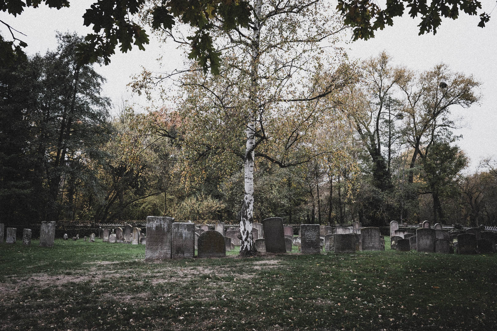 Witzenhausen, Jüdischer Friedhof